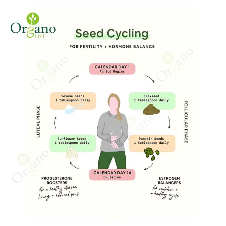 Seed%20cycle%20for%20PCOS%20kit%20100%20grams%20each,%20Original%20and%20Imported%20High%20quality%20I%20Pumpkin%20Seeds%20I%20Flax%20Seeds%20I%20Sesame%20Seeds%20I%20Unshelled%20Sunflower%20Seeds%20-%20Image%203
