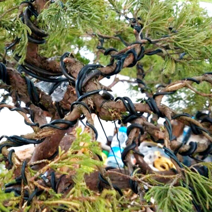5M%20Bonsai%20Wires%20Plant%20Support%20Branches%20Bend%20Fixing%20Wires%20Anodized%20Aluminum%20Bonsai%20Training%20Wire%20Garden%20DIY%20Tool%201/1.5/2/2.5/3%20mm%20-%20Image%204