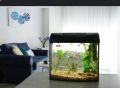imported Aquarium (500 EL). 