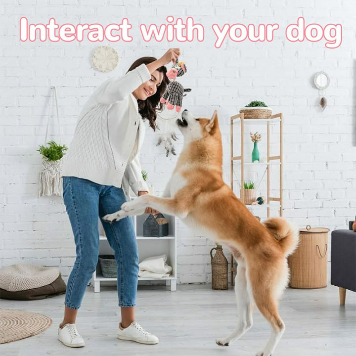 Kenjac%20-%20Stuffed%20Animal%20Plush%20Dog%20Toy%20with%20Squeakers,%20Aggressive%20Chew%20Toys%20for%20Small%20Medium%20Large%20Dogs%20Pet%20Products%20-%20Image%202