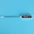 Tp300 water food thermometer set bedding pink milk temperature electric temperature thermometer. 