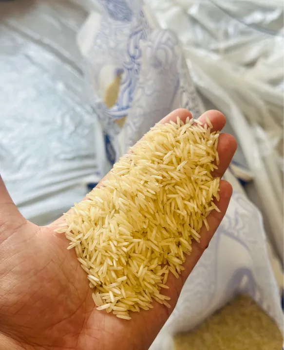 Rice,%20Steam%20rice,%20Steam%20Rice%201121:%20premium%20quality%20kainat%20variety%20,%2010kg-%20your%20ultimate%20Rice%20cooker%20companion%20-%20Image%202