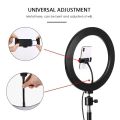 Tiktok led light at reasonable price. 