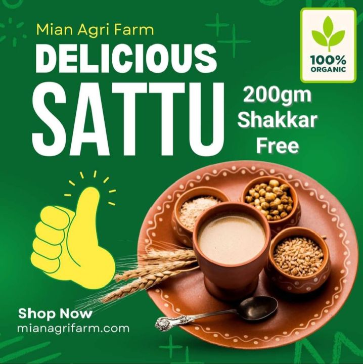 SATTU Ready to Drink Sattu Tasty Homemade Sattu 100% Original Organic Product