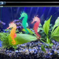 Fish Tank Aquascape Decorations Simulation Glow in Dark Silicone Seahorse With Suction Cups Aquarium Landscape Decorations. 