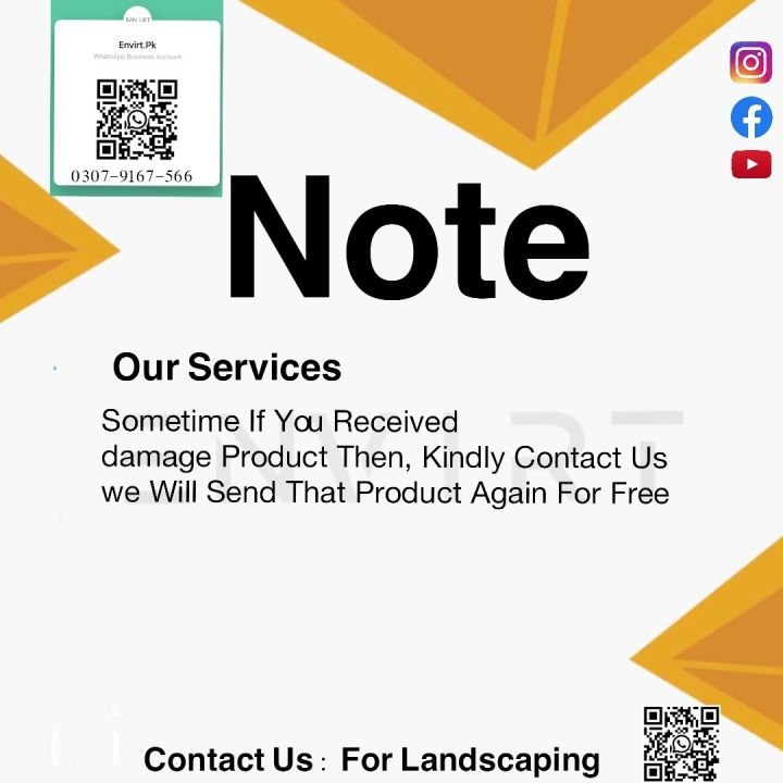 live%20Kangi%20palm%20plant,%20size:%203%20feet%20%7C%20Sago%20Palm%20plant,%20Cycas%20revoluta%20plant%20With%20pot%20%7C%20indoor%20plants%20%7C%20Real%20Kangi%20Palm%20%7C%20Plant%20Parlour%20-%20Image%204