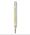 Thermometer (mercury) flat large 2 pieces. 