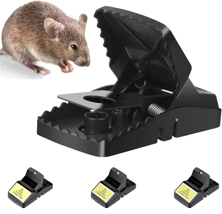 A Rapping Mouse Rap Trap Mouse Small Size Trap Mouse Snap mouse Trap-Easily Catcher ...
