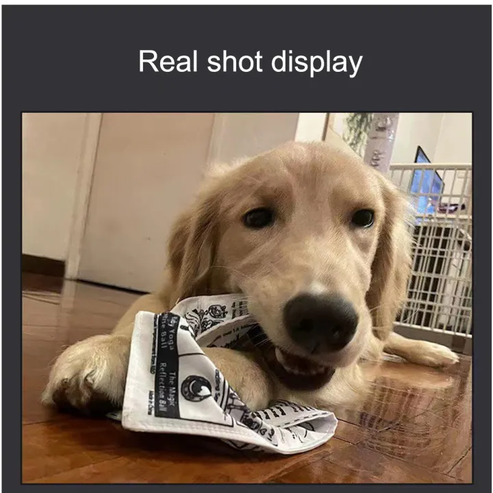 1pc%20Tearproof%20Pet%20Dog%20Sound%20Toy%20Simulated%20Squeaking%20Newspaper%20Playingcard%20K%20Q%20J%20Teeth%20Resistant%20Corgi%20Teddy%20Puppy%20Interactive%20-%20Image%203