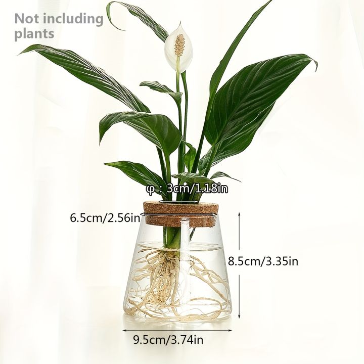 1pc,%20glass%20flowerpot%20breeding%20station%20vase%20rack%20desktop%20hydroponic%20plant%20cuttings%20office%20home%20decoration%20-%20Image%207