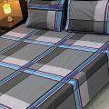 Premie King Size Double Bedsheet Set with Two Coordinating Pillow Covers. 