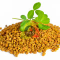 Premium Fenugreek Seeds (Methray / Methi Dana) 100g – Whole Seeds for Curries, Pickles & Cooking – 100% Pure Organic Spice. 