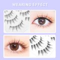 3D Lashes Premade Fan A/M Shape Spikes Cluster Eyelash Mix Extension Individual Makeup Super Natural Wispy DIY Premade Peduncle.