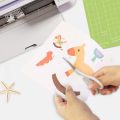 Vinyl Weeding Tool Kit, Basic Tool Kit for Cricut, Silhouette, Siser, and Oracal Vinyl. 