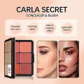 12-color iron box concealer blush cream matte highlight contour makeup all-in-one palette. 