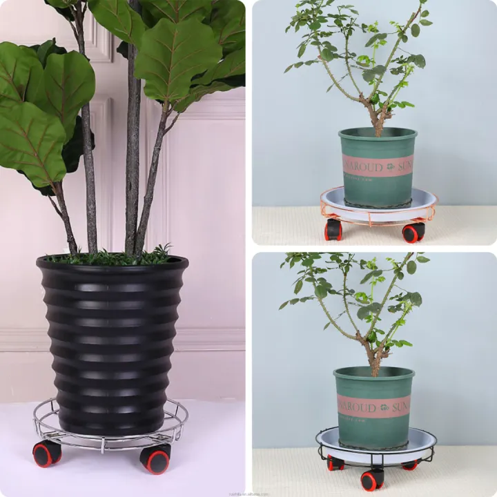 Gas%20cylinder%20stand/%20cylinder%20trolley%20with%20wheels%20/%20Home%20kitchen%20trolley%20lpg%20gas%20and%20garden%20-%20Image%207