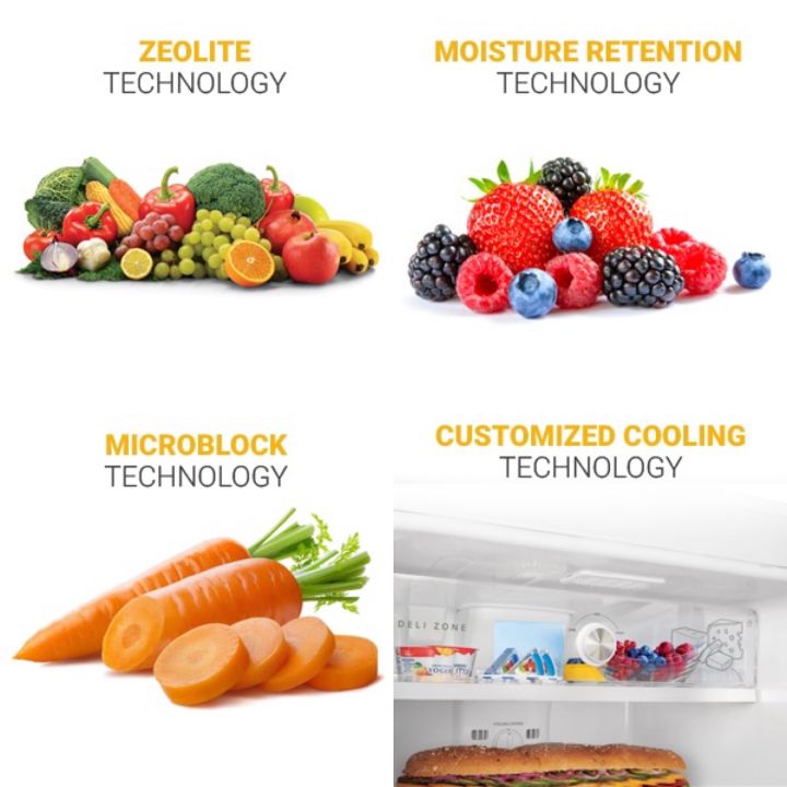 Whirlpool%20Icemagic%20185%20Litres%20Single%20Door%20Refrigerator%20(200%20IMPC%20Prm%20Wine%20Gloria)%20-%20Image%205