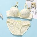 Gathering Show Large French Underwear Women Collect Side Breasts Upturned Bra Without Steel Ring Underwear Set. 