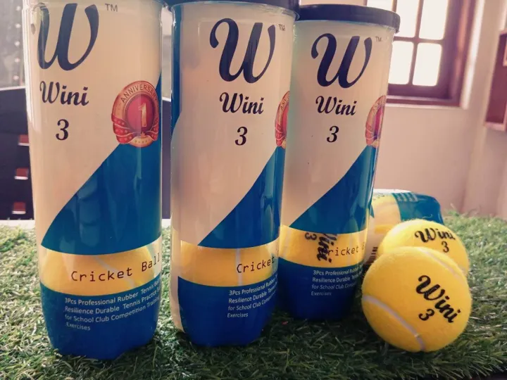 Wini%20cricket%20ball<1%20tin%203%20ball>%20-%20Image%202