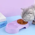 Double Pet Bowls Cat Food Water Feeder. 