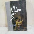 Bushra Saeed Best Novel Safaal Gar. 