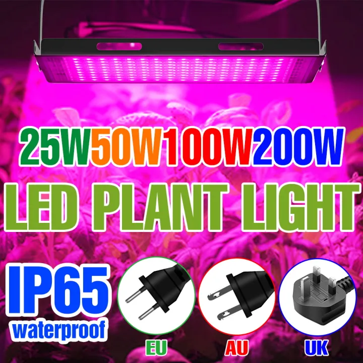 200W Full Spectrum LED Grow Light Indoor Hydroponic Plant Lamp ...