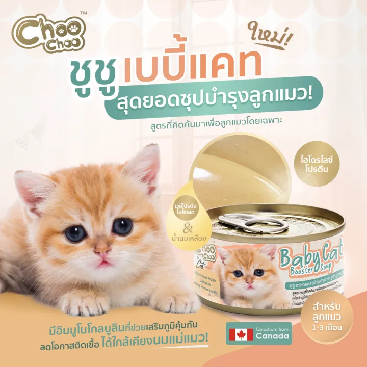 Choochoo%20baby%20cat%20Choo%20Baby%20Formula%20formula%20formula%20formula%20formula%20formula%20formula%2080g.%20pack%20of%206%20cans%20Choo%20Choo%20(for%201%20-%203%20months)%20-%20Image%202