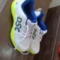 DSC CRICKET SHOE. 