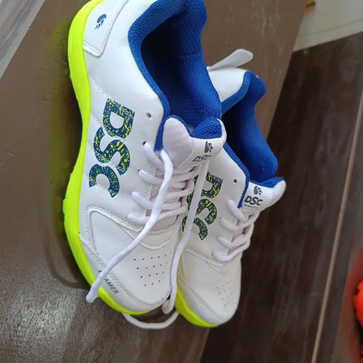DSC%20CRICKET%20SHOE%20-%20Image%206
