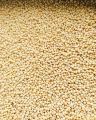 Whole Orid උදු ඇට உளுந்து 1kg. 