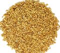 Coriander seeds | Hara dhania seeds high quality seeds |. 