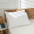 Smooth Pillow Protector 1PC 50x70cm Pillow Cover [Bed Bug Lock]. 