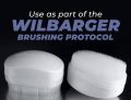 Wilbarger Sensory Brush for Autism from USA.