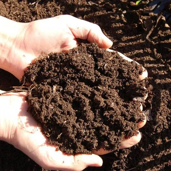 Goat%20manure%20(1kg)%20-%20Image%202