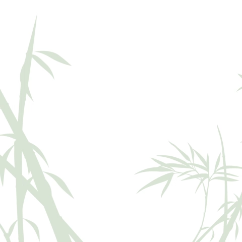WBM Bamboo Facial Tissue Paper - 150 Sheets (3 Ply) | Tissue Paper