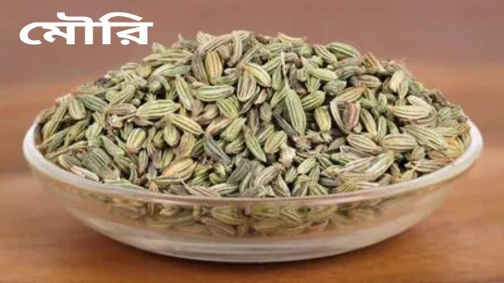 Mouri%20/%20Fennel%20Seeds%20/%20Pan%20Mouri%20-%20250%20gm%20-%20Image%203