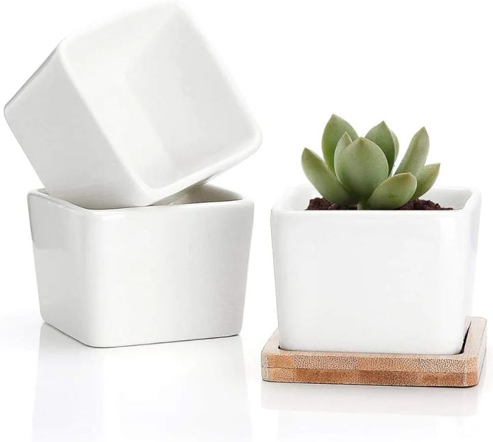 Mini%20Succulent%20Pot,%20White%20Ceramic%20Small%20Square%20Plant%20Pot,%20Cactus%20Planter%20Pot%C2%A0%20-%20Image%209