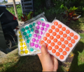 SET1 rainbow color popsicle pop it push pop bubble toys push button toy bubble pop pop it push pop bubble toys. 