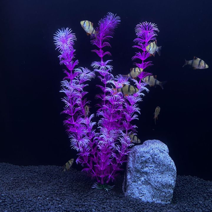 30cm%20High%20Aquarium%20Simulated%20Water%20Plants%20Fish%20Tank%20Landscaping%20Plastic%20Water%20Plants%20Micro%20Landscape%20Decoration%20-%20Image%205