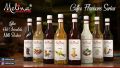 Melina - Hazelnut Flavored Syrup- 750ml. 
