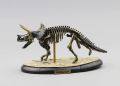 Assemble Dinosaur Bones Triceratops Skeleton  Mammoth Mammuthus Assembled  Tyrannosaurus Rex Puzzles  Toys. 