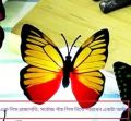 Butterfly shaped home decorating wall light | Color changing LED Wall Sticker | Single (1) Piece. 