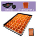 * Quick delivery * Daiso tray, Daiso tray with 2-inch pots, 54 square leaves, Daiso tray with hole, Daiso tray, no hole, seedling tray, seedling tray. 