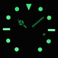 GRAMOCK 29mm Watch Dial With Hands Set Green Luminous 6 o 'clock Date Window Silver/Black Edge Index Fit NH35 Movement. 