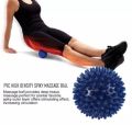 Exercise Balls Spike Massage Ball Soft/Hard One Piece Orthopedic Training Portable Physiotherapy Ball. 