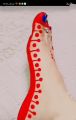 Alta beautiful colour Red Color- For Foot & Hand painting-1ps for women.
