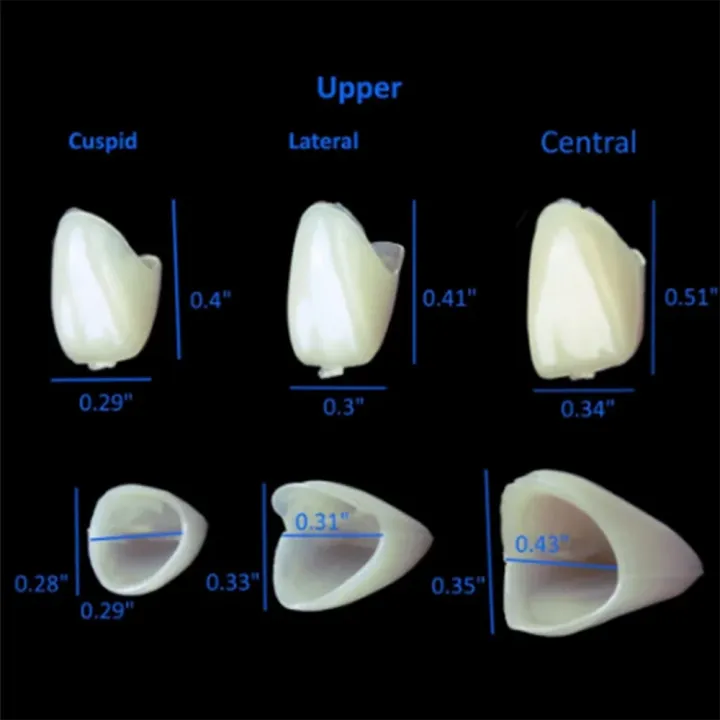 AG%2050%20Pcs/Box%20Dental%20Temporary%20Crown%20Kit%20Anterior%20Front%20Molar%20Posterior%20Teeth%20Veneers%20Dentistry%20Tooth%20%20Dental%20Tools%20-%20Image%205