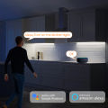 Tuya Wifi 12V COB LED Strip Light High Indensity Flexible RA90 Tape 320LEDs/m Backlight Room Decor Work With Alexa  Home. 
