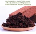 Universal Coconut Brick Nutrient Soil 1 Kg. 