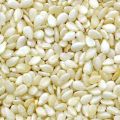 Sesame White Seed। সাদা তিল -100gm. 